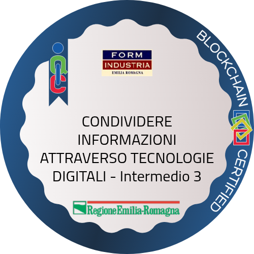 Badge pubblico 82700
